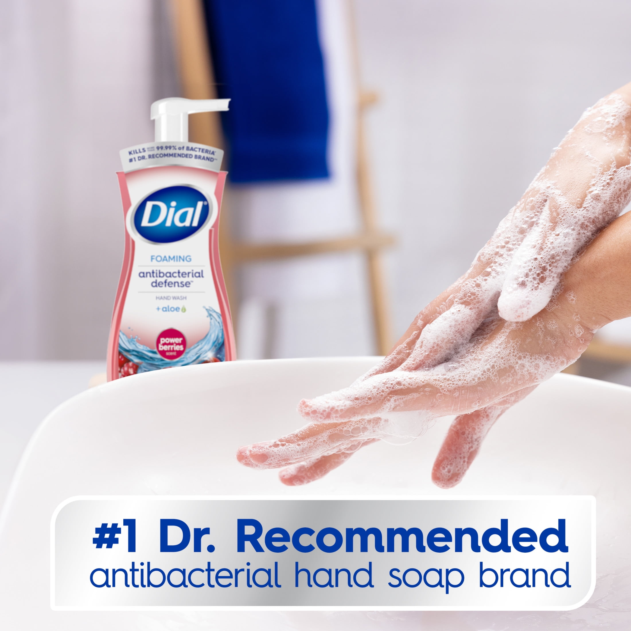 (4 pack) Dial Antibacterial Defense Power Berries Scent Foaming Hand Soap, 7.5 fl oz