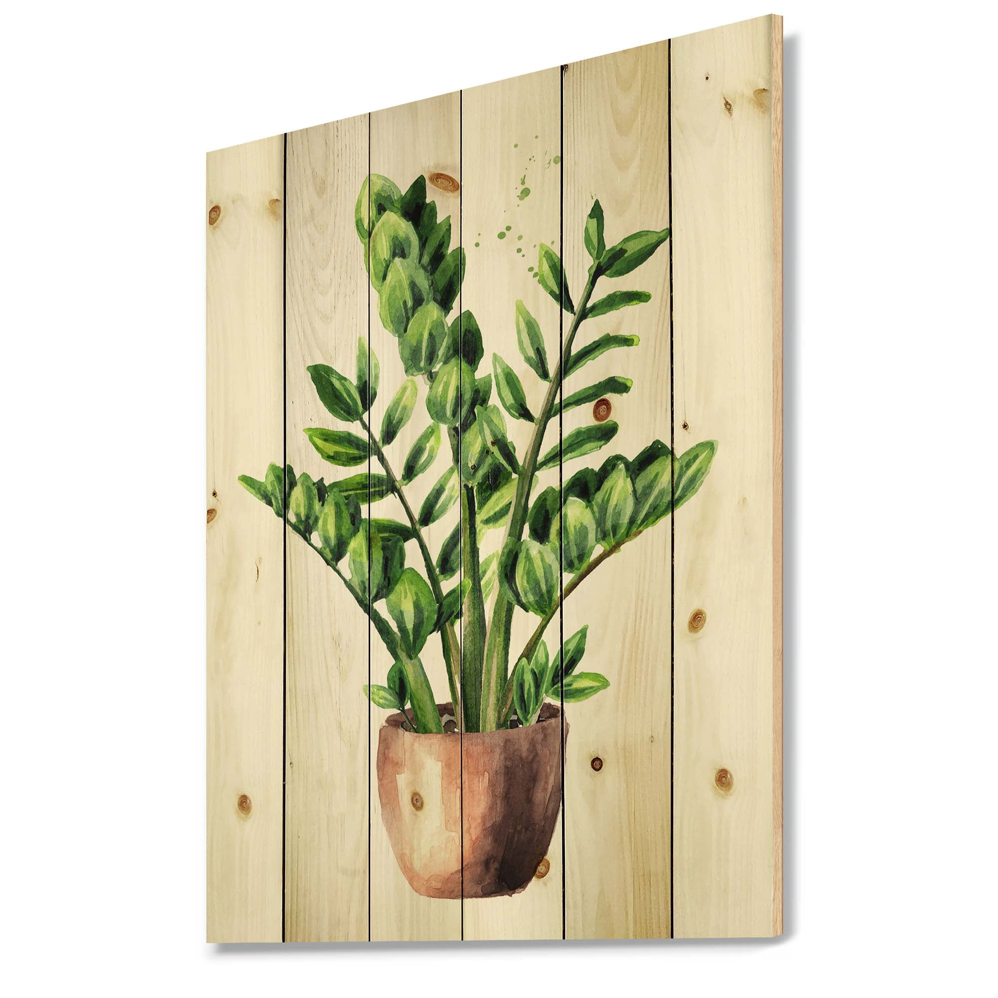Designart 'Zamioculcas Tropical Plant With Green Leaves On White' Traditional Print on Natural Pine Wood