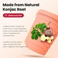 thumbnail image 4 of Caloless Konjac Shirataki Noodles, 6 Pack Low Calorie Pasta, Low Carb Beef Noodles, Healthy Keto & Paleo Friendly, Gluten Free Vegan Instant Cup Noodles (Beef Cup Soup), 4 of 7