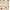 Beige Boho, variant on JoyStone Baby Play Mat, 50" X 50" Playpen Mat, Thick One-Piece Crawling Mat for Playpen, Odorless Soft Floor Mat, Anti-Slip Activity Playmats for Babies,Toddlers, Infants