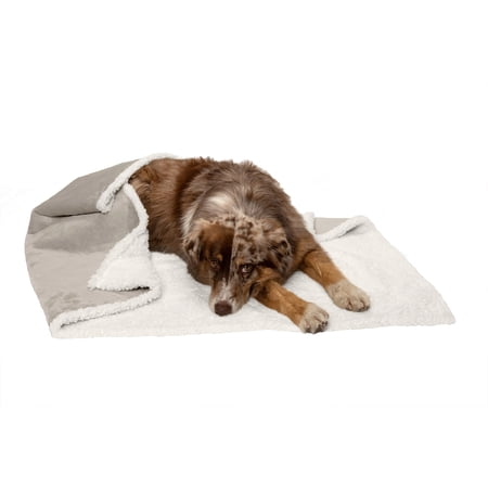 FurHaven Snuggly & Warm Soft-Edge Warming Waterproof Pet Throw Blanket - Large Dove