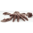 thumbnail image 5 of Ty Beanie Baby: Stinger the Scorpion | Stuffed Animal | MWMT, 5 of 7