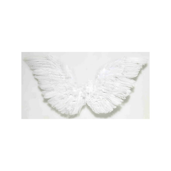 White Small Angel Wings 18 X 18