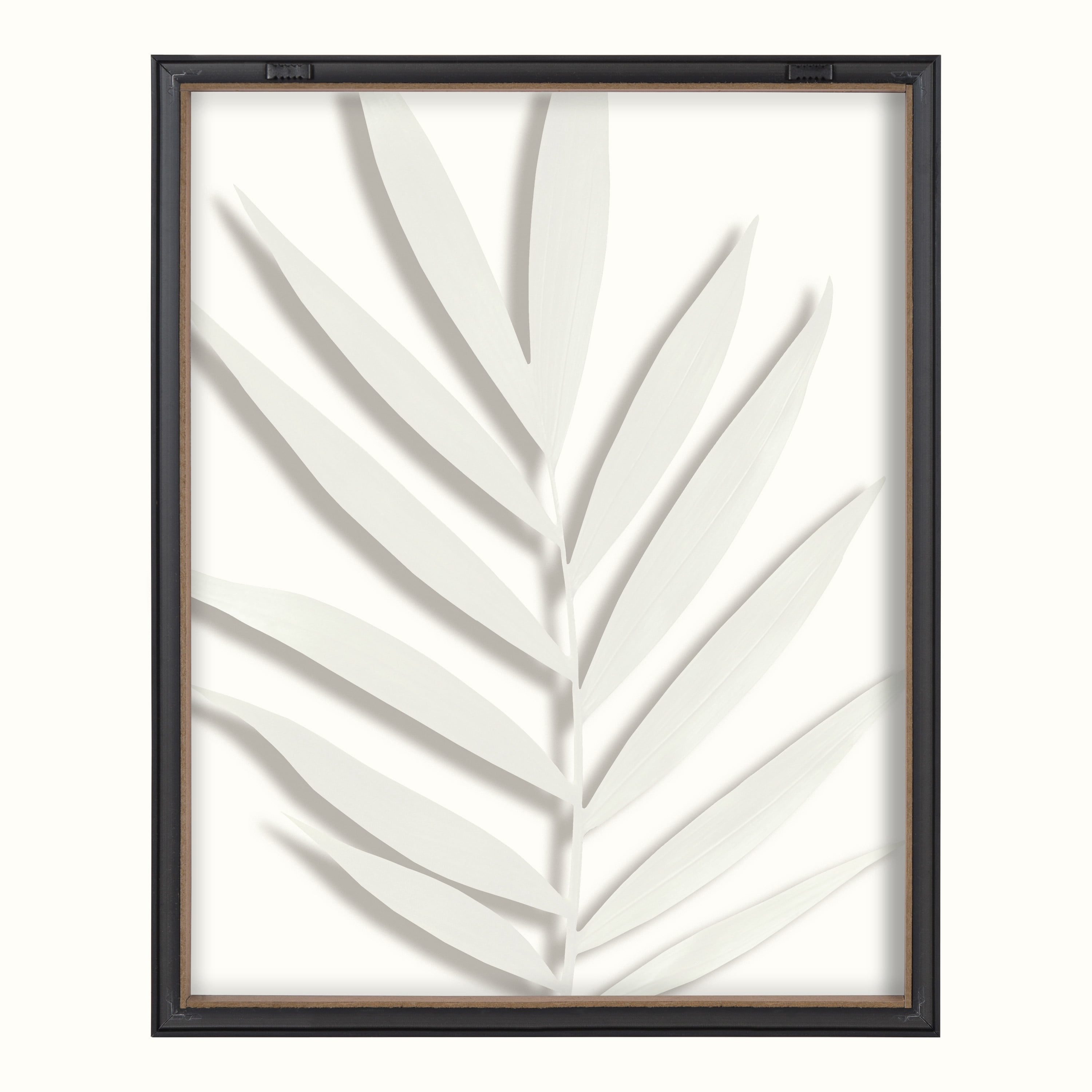 Blake Botanical 5F 16 in x 20 in Framed Photography Art Prints, by Kate and Laurel