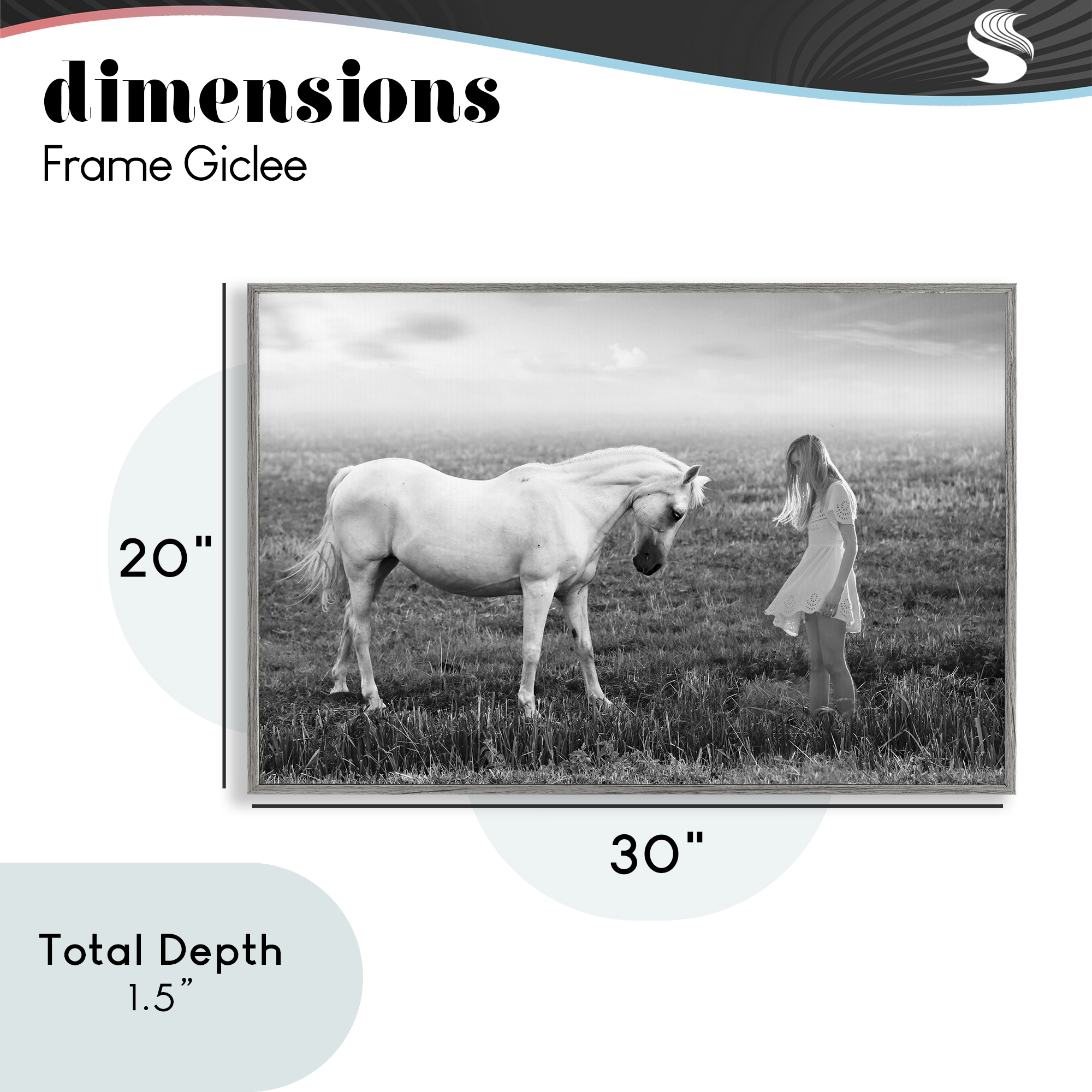 Her White Horse Gray Framed Giclee Art, design by Ata Alishahi