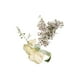 thumbnail image 4 of Perfume Zara Amber Fusion Eau De Parfum 30 ml para mujer, 4 of 4