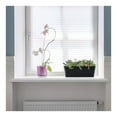 thumbnail image 5 of Modern Indoor Succulent Pot,QZS Plastic Windowsill Planter for Flowers,12x3.8x4.6In Self Watering Planter Pot for Vegetable,Flowers, 5 of 6