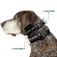 thumbnail image 2 of Buckle-Down Pet Collar, Dog Collar Plastic Buckle, Racing Stripes Black Yellow Blue Pink, 15 to 24 Inches 1.0 Inch Wide, 2 of 8