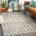 thumbnail image 2 of Surya BBE2309-23 2 x 3 ft. Berber Shag Area Rug, Charcoal & Beige, 2 of 4