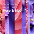 thumbnail image 3 of Ambientador Candle Jar Glade Rose & Bloom, 100 ml, paquete de 2, 3 of 9