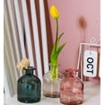 thumbnail image 4 of 1Pcs 150ml/5oz Empty Glass Diffuser Bottle Aromatherapy Jar Container Fragrance Accessories Use with Essential Oils Replacement Diffusers Reed Sticks DIY Crafts Decor Blue, 4 of 8