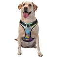 thumbnail image 1 of Kdxio Spring Flower Seasonal Print No Pull Dog Harness Adjustable Reflective Oxford Easy Control Medium Large Dog Harness for Training and Everyday-X-Large, 1 of 6