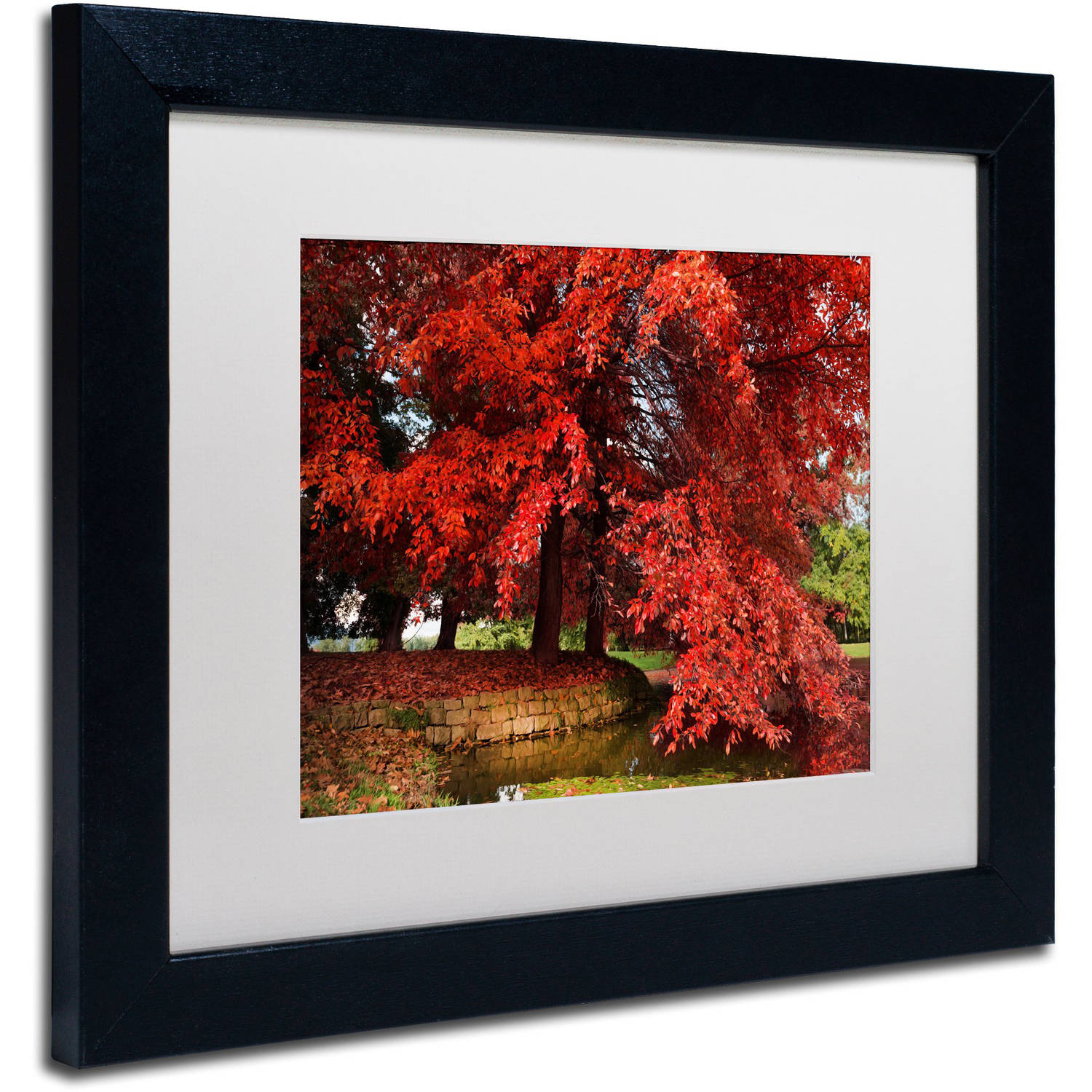 Trademark Fine Art "October" Canvas Art by Philippe Sainte-Laudy White Matte, Black Frame