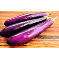 thumbnail image 4 of TomorrowSeeds - Purple Shine Chinese Eggplant Seeds - 200+ Count - For 2026 Planting Long Asian, 4 of 11