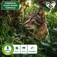 thumbnail image 6 of Natural Flea & Tick Collar for Cats - 12 Months Control of Best Prevention & Safe Treatment - Anti Fleas and Ticks Essential Oil Repellent (1 Pack), 6 of 8