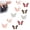 10PC, variant on Butterfly Pants Waist Tightener,Detachable Butterfly Clips Jean Buttons for Loose Jeans,Decorative No Sew Adjustable Butterfly Button Pins,Waist Buckle Clip Beltless Pant Tighter for Clothing (10PC)