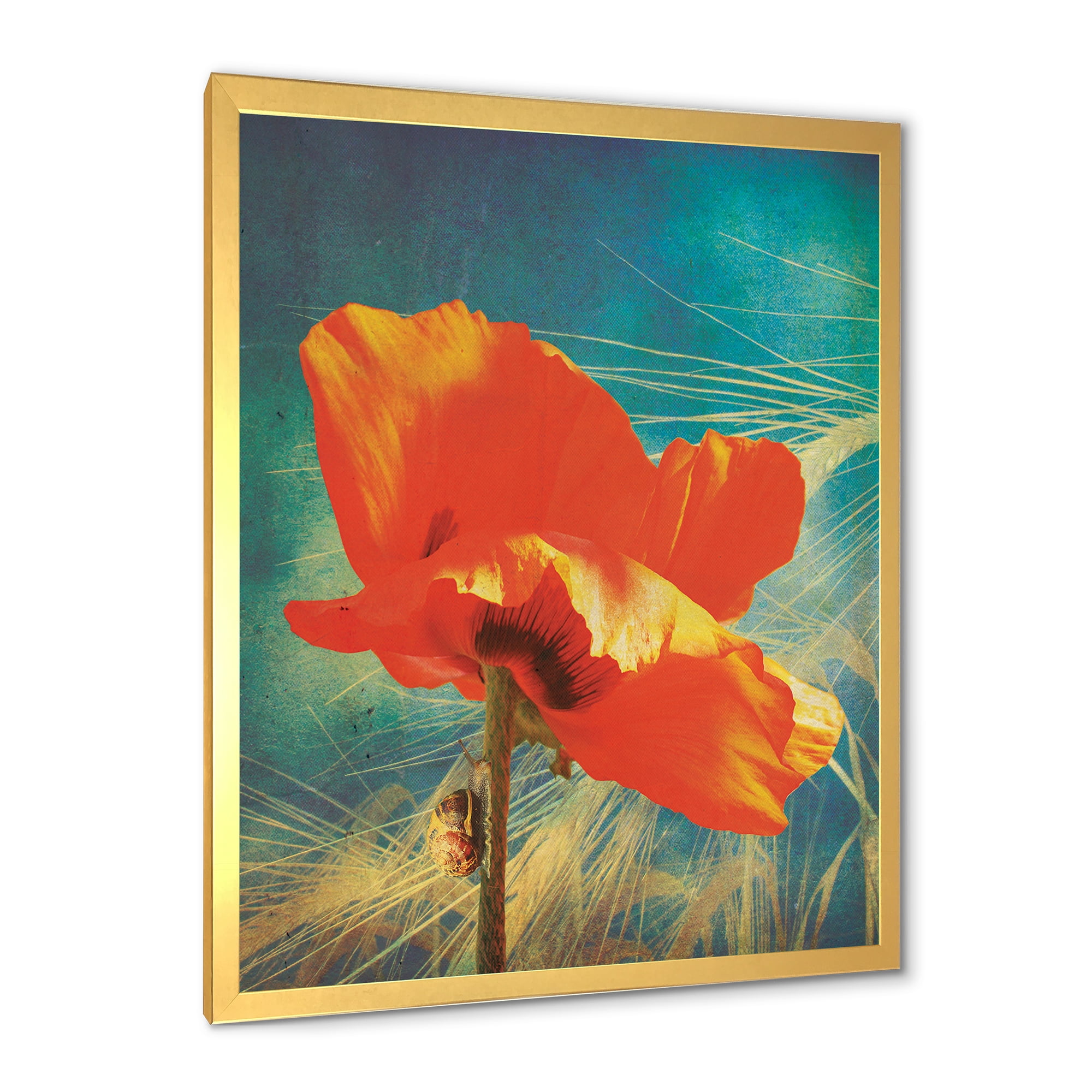 Designart 'Ancient Grunge Poppy' Traditional Framed Art Print