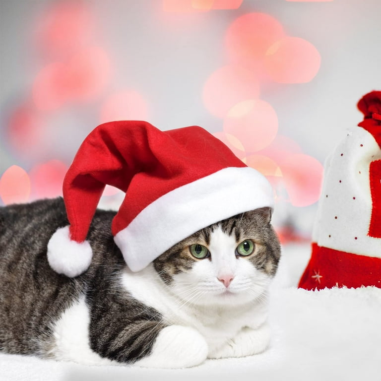 Cheap santa 2024 hats in bulk