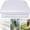 White Size:M, variant on Clear Greenhouse Plastic Sheeting UV Resistant, 10ft x 13ft Transparent Tarp Cover for Garden Farm Plant Protector White Size:S