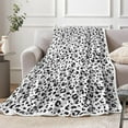 thumbnail image 3 of Grey Ultra Soft Leopard Throw Blanket, Comfy Cozy Lightweight Flannel Fluffy Cheetah Print Blanket Fuzzy Warm Cute for Throw Blanket for Couch Sofa Chair Bed, 60X90IN, 3 of 5