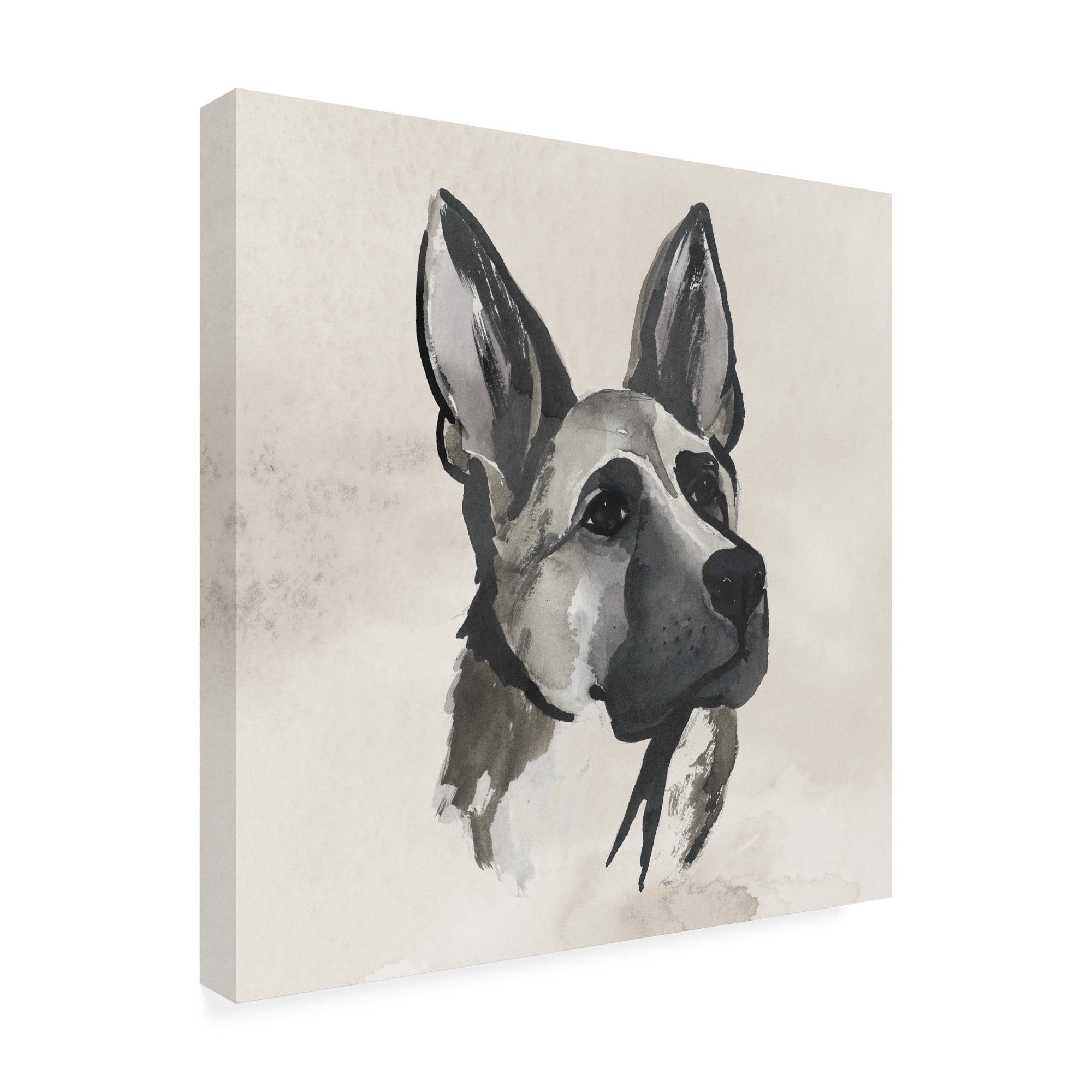 Inked Dogs IV' Canvas Art by Grace Popp