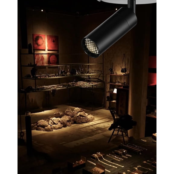 Zoomable LED Ceiling Spotlight Fixture, Flush Mount Adjustable Spotlight, Indoor Bright Accent Monopoint Fixture for Living Room Bedroom Loft Cafe Bar