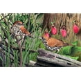 thumbnail image 2 of Dornish, Al 14x11 White Modern Wood Framed Museum Art Print Titled - Thrush, 2 of 4