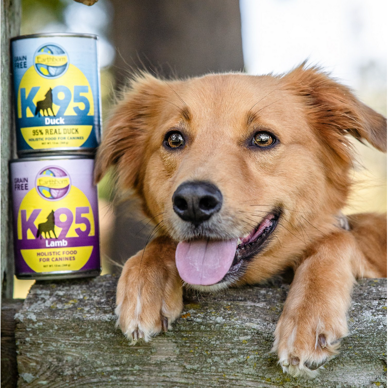 Earthborn holistic top canned dog food