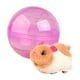 thumbnail image 1 of Juguetes de pelota Juego de juegos para interiores y exteriores Juguetes educativos tempranos para aprender a caminar Juguete electrónico para mascota Hámster Blanco, 1 of 8