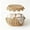 C, variant on Yaayu Imitation Rattan Woven Storage Basket with Lid, Covered Organizer for Snacks Toys Clothing, Storage Bin for Home, Large