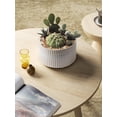 thumbnail image 3 of BEMAY 2-Pack Ceramic Succulent Pots with Drainage Holes, 6.3 in and 7.8 in Star White Indoor Planters with Mesh Pads and Silicone Plugs, Plant Pots for Cactus, Herbs and Houseplants, 3 of 6