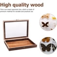 thumbnail image 3 of Butterfly Specimen Display Box 12x9 Inch Wooden Glass Top Enclosed Case Collectors Dustproof Storage Organizer, 3 of 7