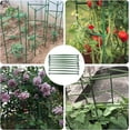 thumbnail image 7 of NOGIS 24PCS Stake Arms for Tomato Cage，Expandable Trellis Connectors-11.8" with 2 Buckles for Tomato Cage Attach 11mm Diameter Plant Stakes, 7 of 7