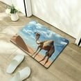 thumbnail image 5 of ZFLMY Camel Desert Sky Fast Absorption Home Bath Rug Mat 24x16in, 5 of 5