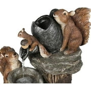 Xkiss LED Lights Resin Squirrel Solar Powered Water Feature Outdoor and Indoor, Multicolor