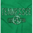 thumbnail image 2 of Tennessee Stenciled State Flag Icon Hoodie Sweatshirt Women Men Brisco Brands S, 2 of 6