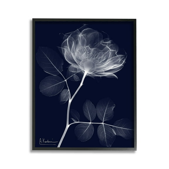 Stupell Industries Dynamic Dark Flower Botanical & Floral Photography Black Framed Art Print Wall Art, 11 x 14