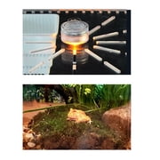 Acrylic Reptile Terrarium Box Gecko Lizard Spider Vivarium Pet Cage Tank Durable