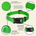 thumbnail image 4 of Country Brook Petz® Everyday Hot Lime Green Nylon Dog Collar, Extra Small, 4 of 5