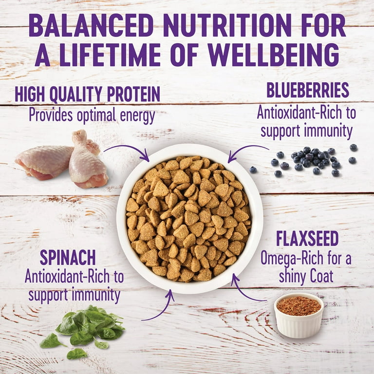 Lifetime large breed dog best sale food