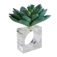 thumbnail image 1 of SARO NR725.A Porte-Serviettes Design Succulent - Ensemble de 4, 1 of 1