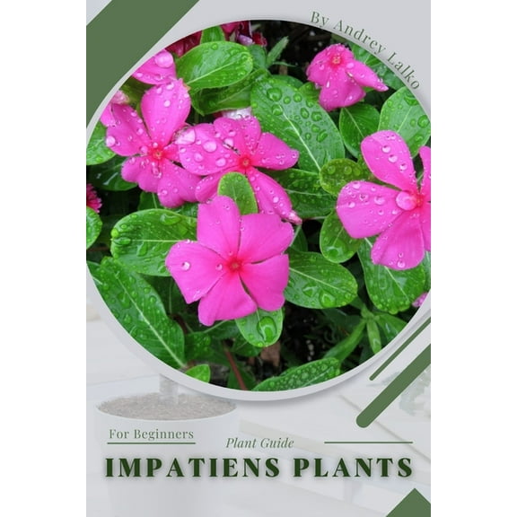 Impatiens Plants: Plant Guide