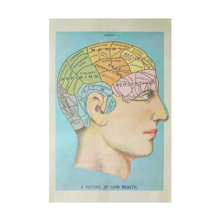 - A Picture of Good Health - Vintage Cognitive Science Lithograph Print Wall Art By Lantern Press