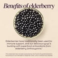 thumbnail image 4 of (Pack Of 3) Natures Way Sambucus Immune Syrup 4 Oz, 4 of 6