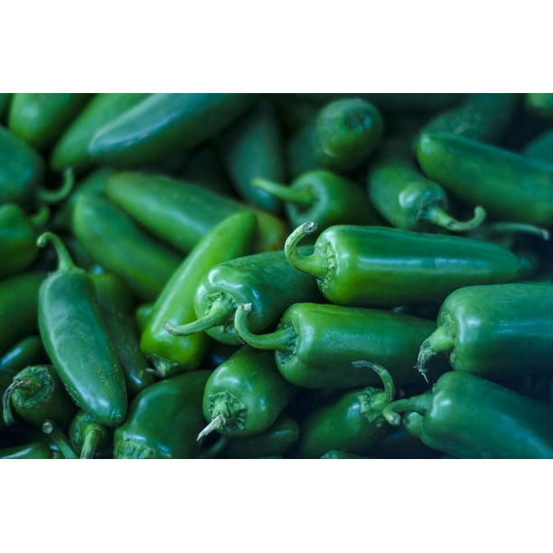 Pepper Hot Jalapeno M Great Heirloom Vegetable Seeds By Seed Kingdom