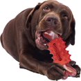thumbnail image 1 of Jouets à Mâcher pour Chiens, Outil de Nettoyage des Dents de Chiot, Os à Mâcher Résistant, 1 of 3