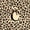 Brown C, variant on Feelyou Leopard Print Letter T Twin Quilt Set for Girls, Beige Black Cheetah Bow Twin Coverlet Set, 2pcs