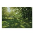 thumbnail image 1 of Green Cutting Board, Summer Park in Hamburg Germany Trees Sunlight Forest Nature Theme Scenic Outdoors Picture, Decorative Tempered Glass Cutting and Serving Board, Small Size, Green, by Ambesonne, 1 of 1