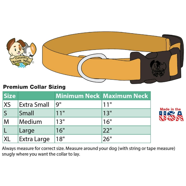 Washington huskies top dog collar