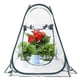 thumbnail image 5 of Ganfancp Mini Invernadero Planta Invernada Carpa Protección Invernal Invernadero Ofertas Flash 1 Incubadora, 5 of 7